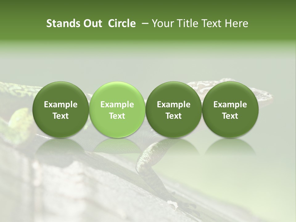 Wild Pet Pattern PowerPoint Template