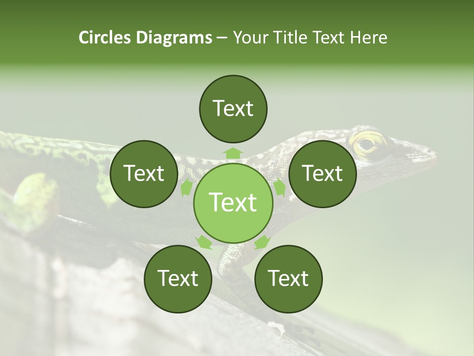 Wild Pet Pattern PowerPoint Template