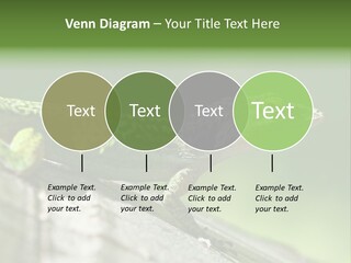 Wild Pet Pattern PowerPoint Template