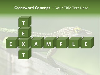 Wild Pet Pattern PowerPoint Template