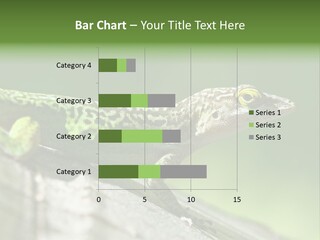 Wild Pet Pattern PowerPoint Template