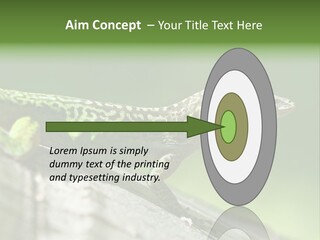 Wild Pet Pattern PowerPoint Template