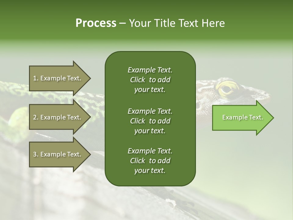 Wild Pet Pattern PowerPoint Template