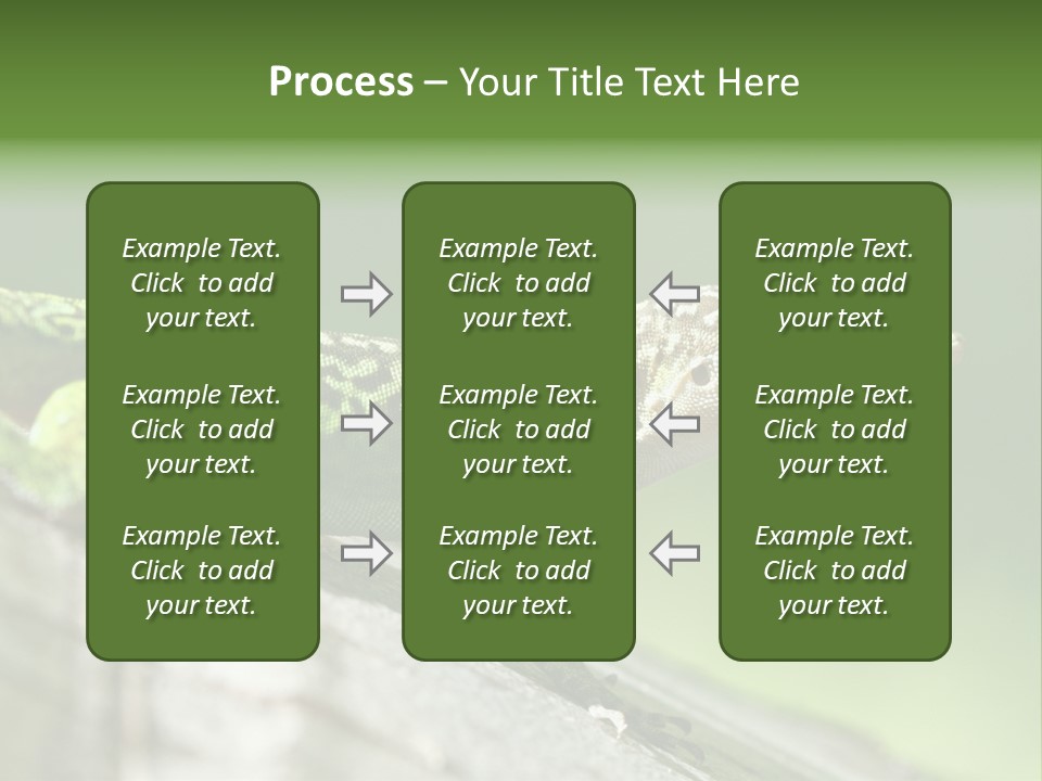Wild Pet Pattern PowerPoint Template