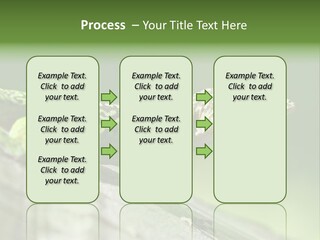 Wild Pet Pattern PowerPoint Template