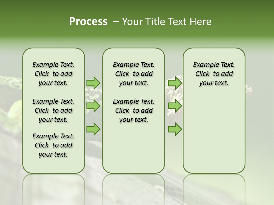 Wild Pet Pattern PowerPoint Template