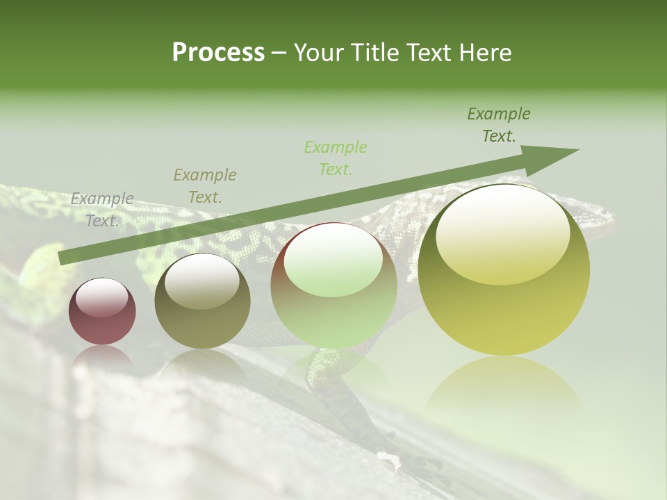 Wild Pet Pattern PowerPoint Template