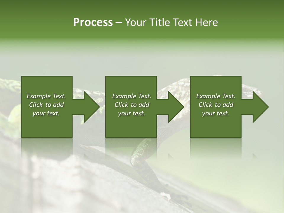 Wild Pet Pattern PowerPoint Template