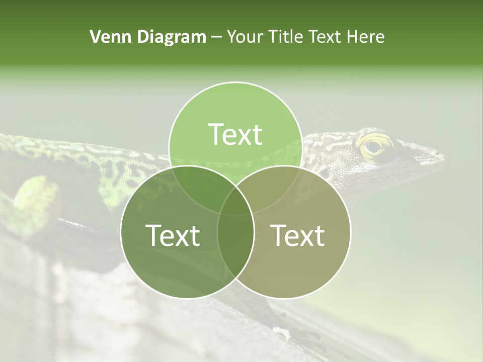 Wild Pet Pattern PowerPoint Template