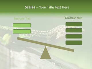 Wild Pet Pattern PowerPoint Template