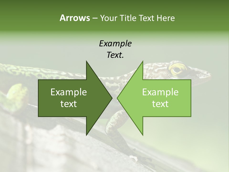 Wild Pet Pattern PowerPoint Template