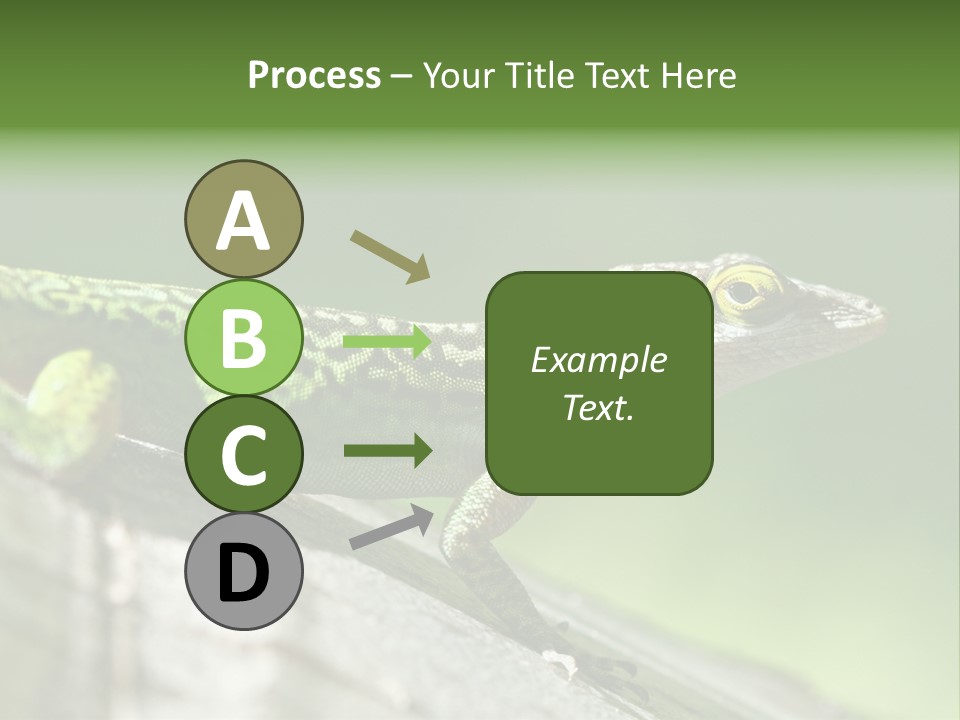 Wild Pet Pattern PowerPoint Template