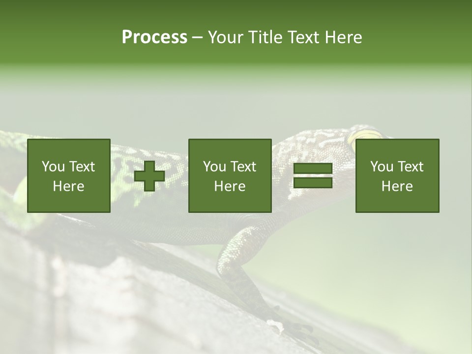 Wild Pet Pattern PowerPoint Template