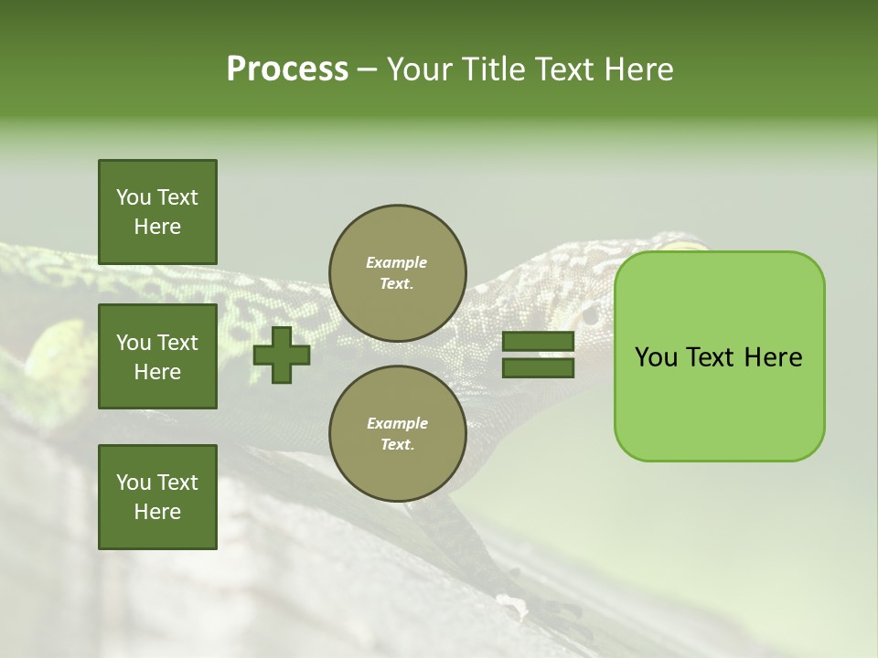 Wild Pet Pattern PowerPoint Template
