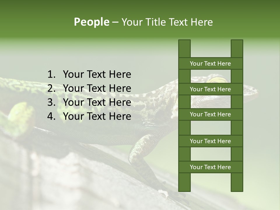 Wild Pet Pattern PowerPoint Template