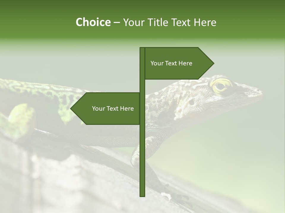 Wild Pet Pattern PowerPoint Template