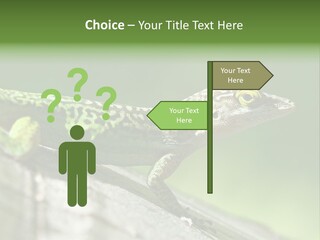 Wild Pet Pattern PowerPoint Template