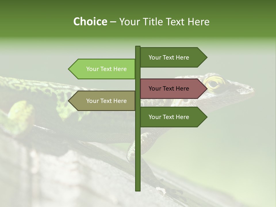 Wild Pet Pattern PowerPoint Template