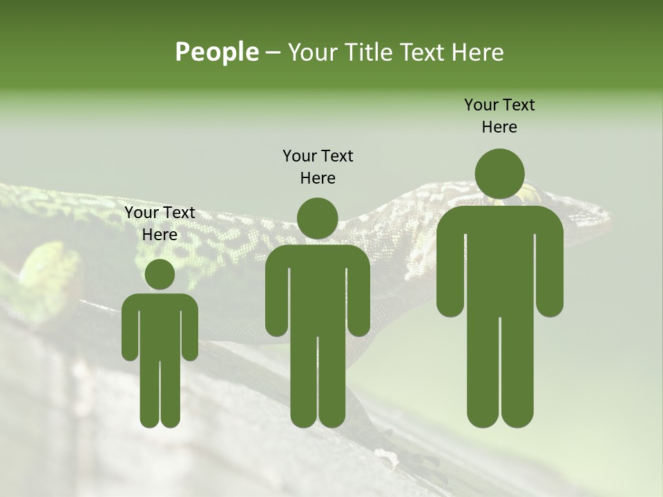 Wild Pet Pattern PowerPoint Template