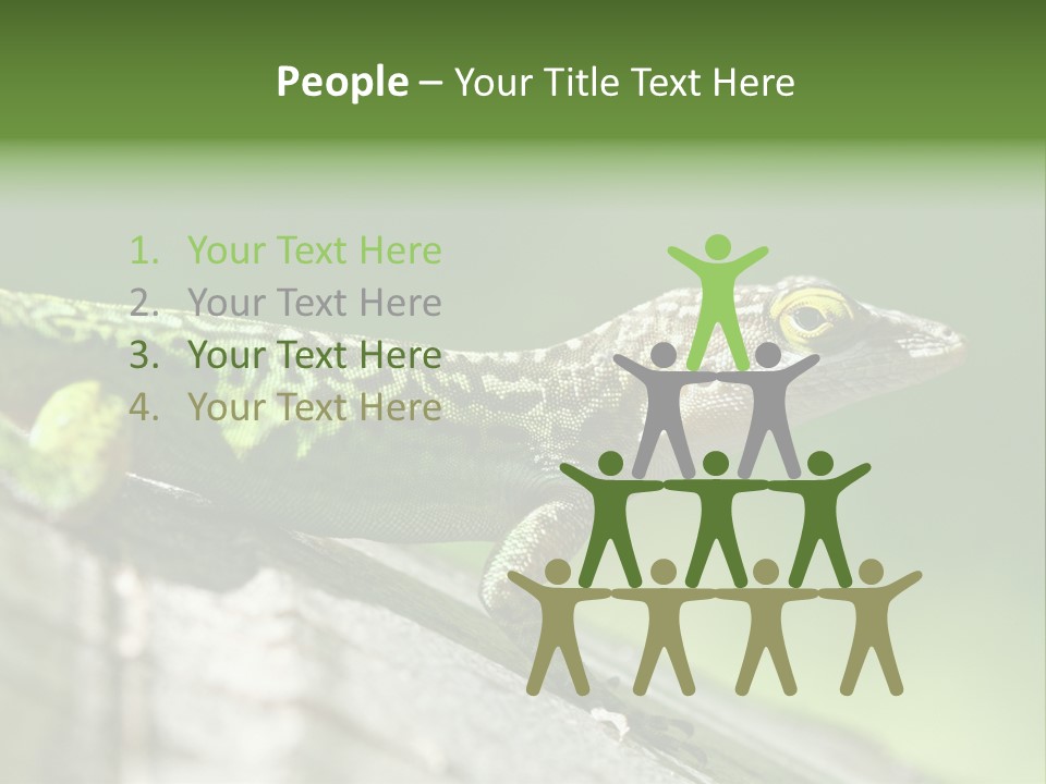 Wild Pet Pattern PowerPoint Template