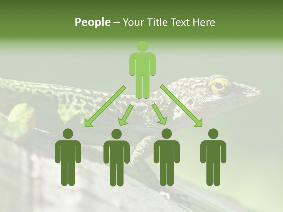 Wild Pet Pattern PowerPoint Template