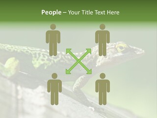 Wild Pet Pattern PowerPoint Template