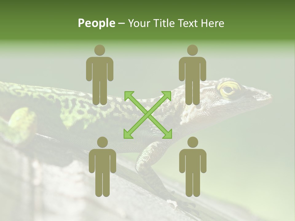 Wild Pet Pattern PowerPoint Template