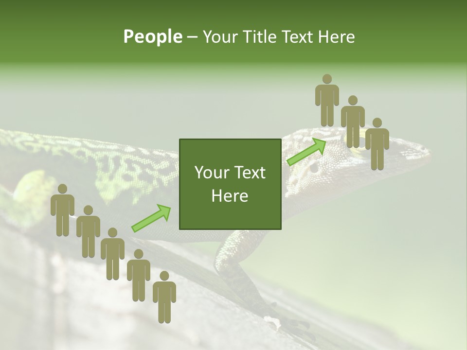 Wild Pet Pattern PowerPoint Template