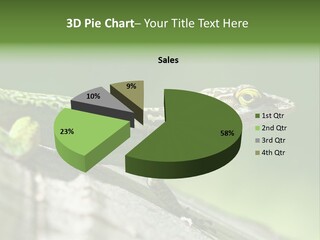 Wild Pet Pattern PowerPoint Template