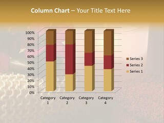 Deep Candle Sponge PowerPoint Template