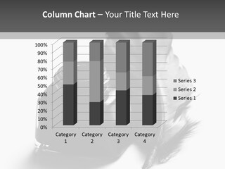 Pen Quill Ink PowerPoint Template