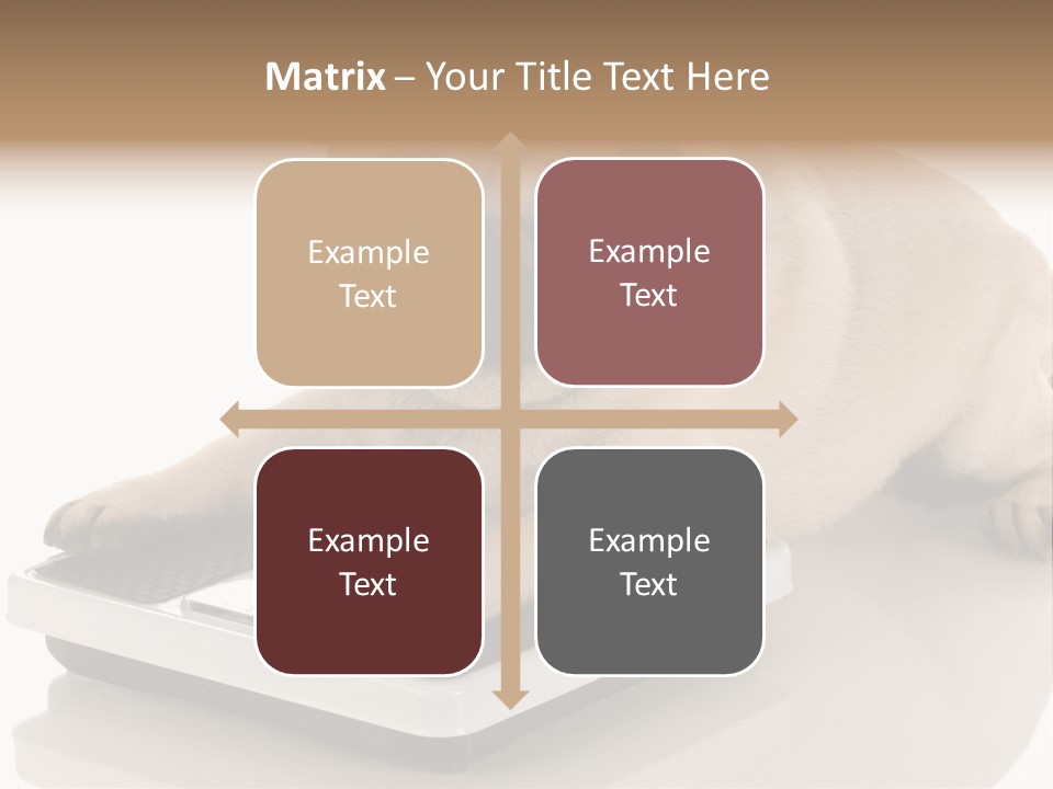 Studio Doggy Purebred PowerPoint Template