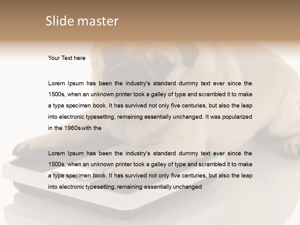 Studio Doggy Purebred PowerPoint Template