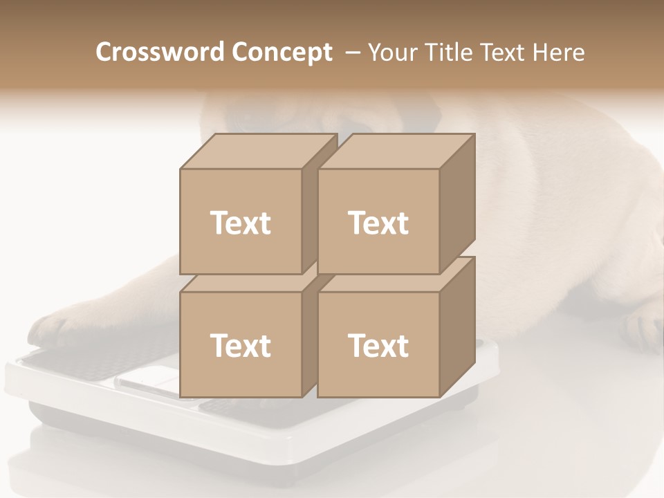 Studio Doggy Purebred PowerPoint Template