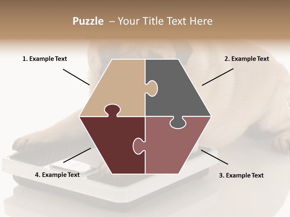 Studio Doggy Purebred PowerPoint Template