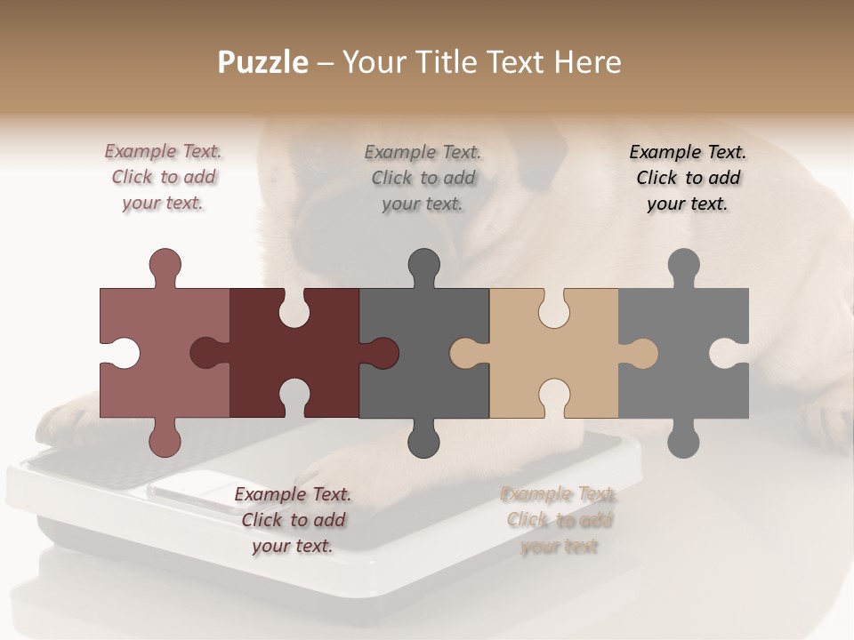 Studio Doggy Purebred PowerPoint Template