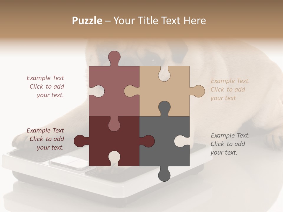 Studio Doggy Purebred PowerPoint Template