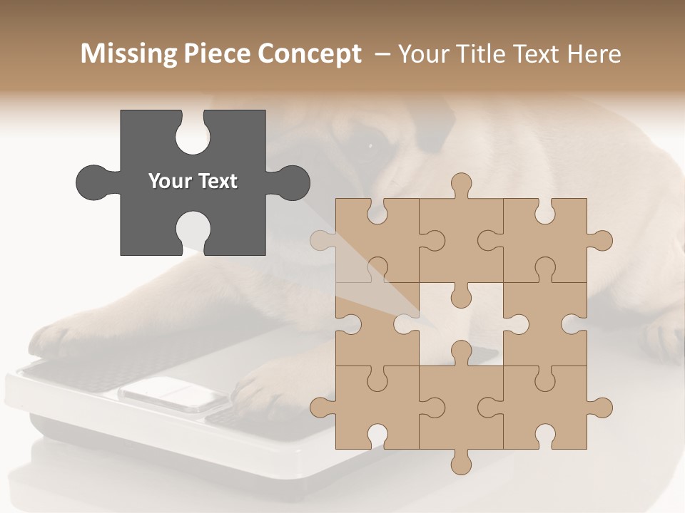 Studio Doggy Purebred PowerPoint Template