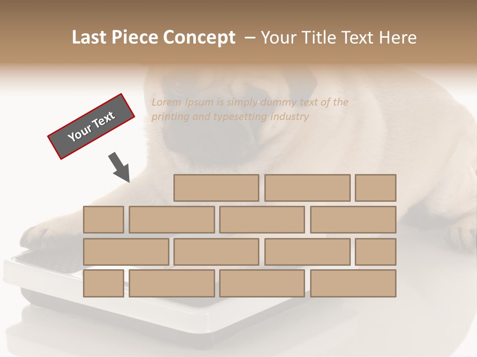 Studio Doggy Purebred PowerPoint Template