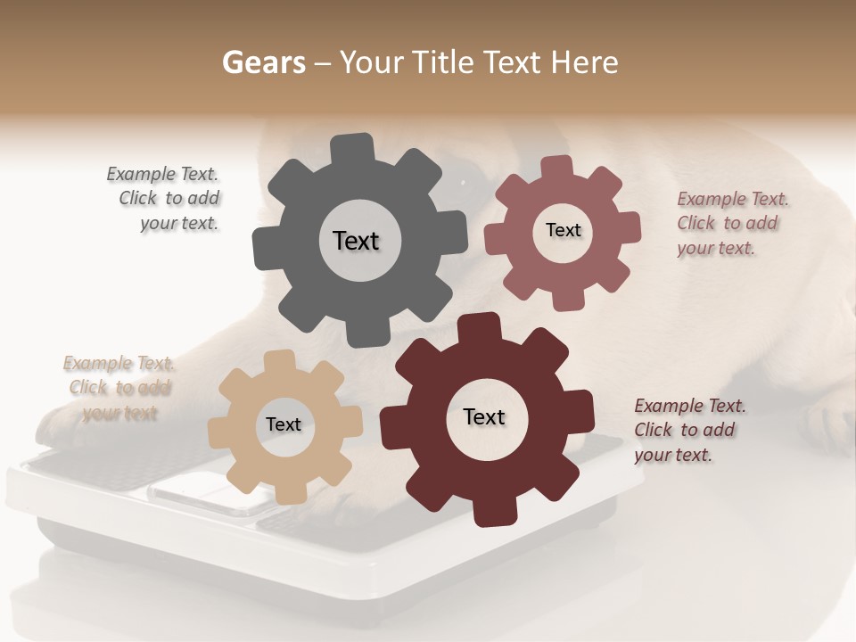 Studio Doggy Purebred PowerPoint Template