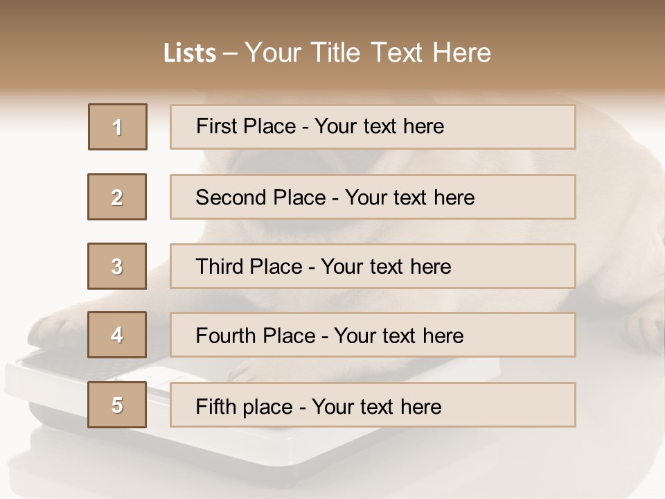 Studio Doggy Purebred PowerPoint Template