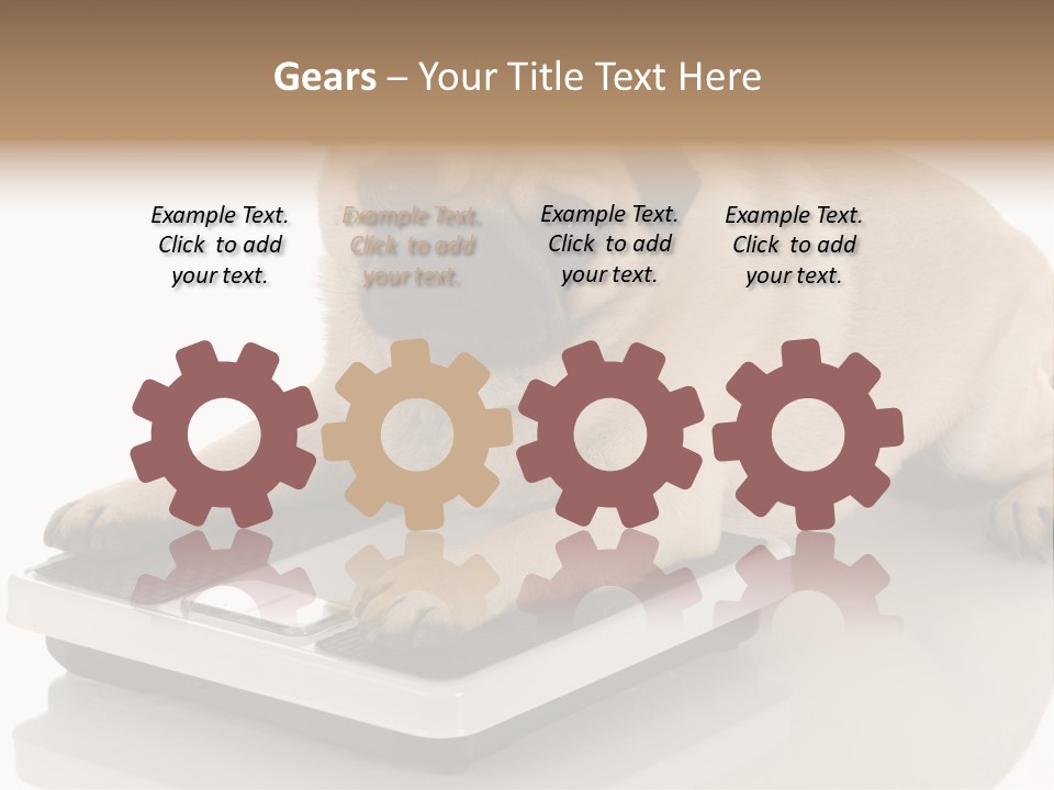 Studio Doggy Purebred PowerPoint Template