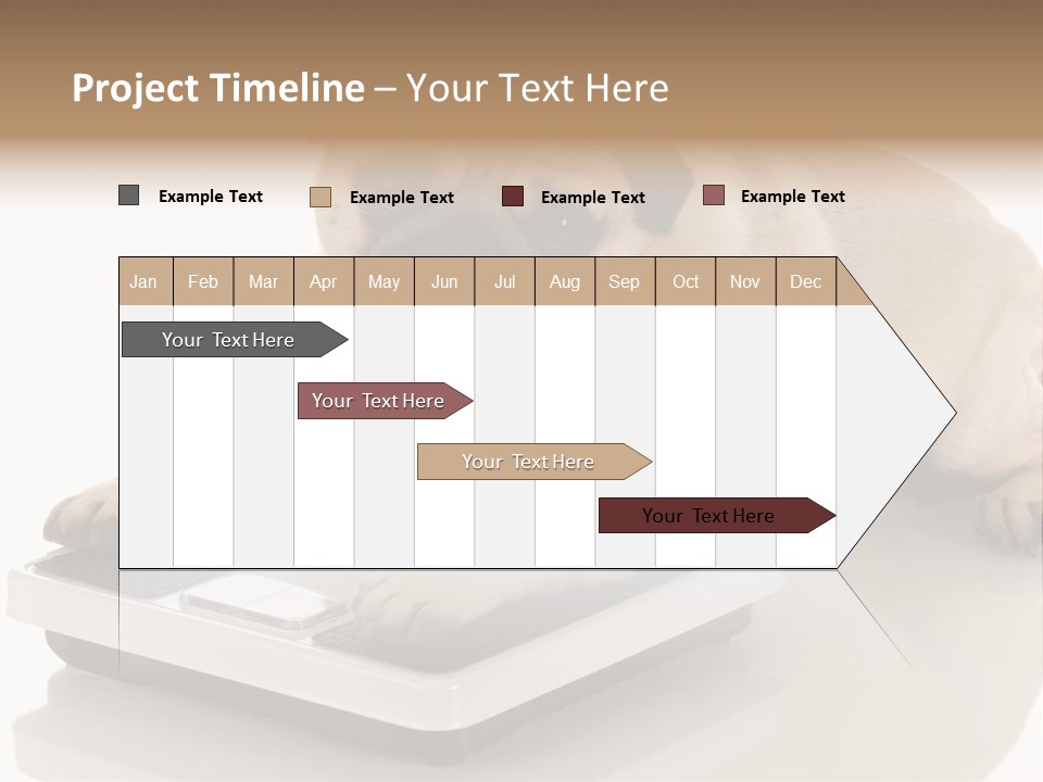 Studio Doggy Purebred PowerPoint Template