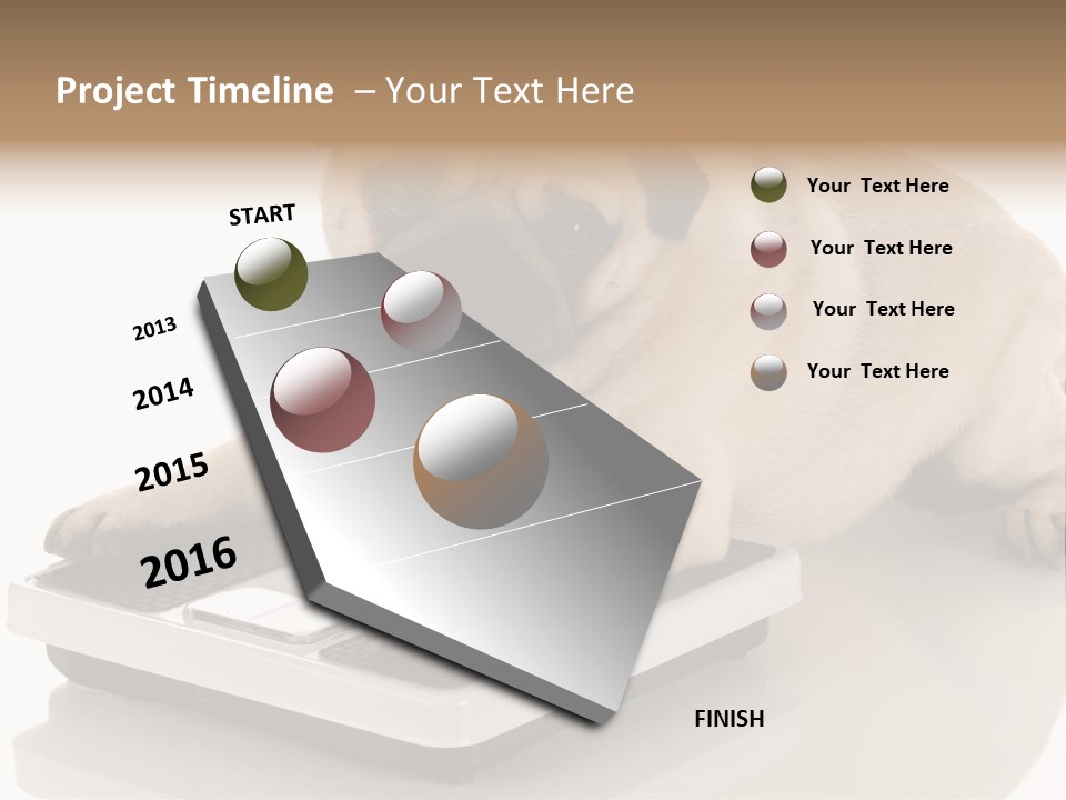 Studio Doggy Purebred PowerPoint Template