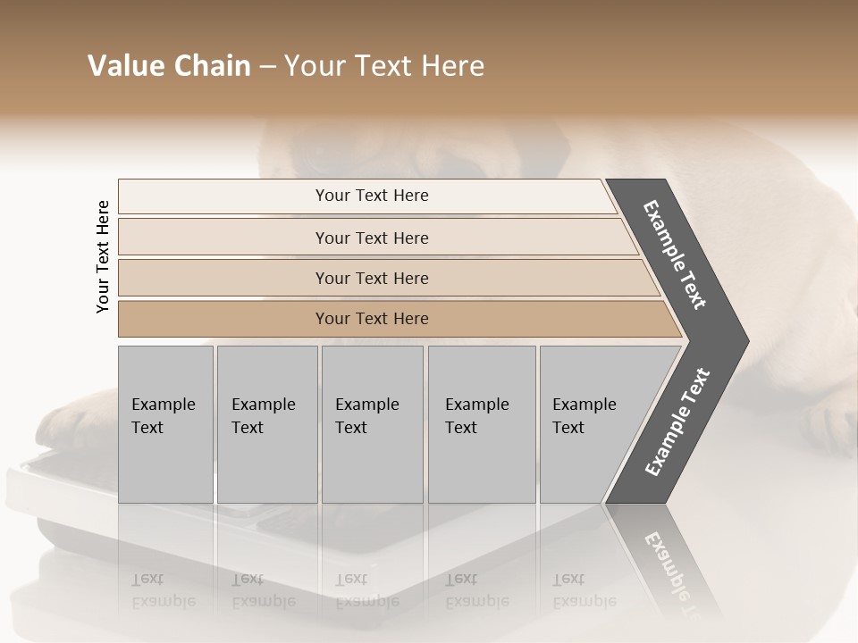 Studio Doggy Purebred PowerPoint Template