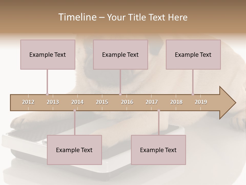 Studio Doggy Purebred PowerPoint Template