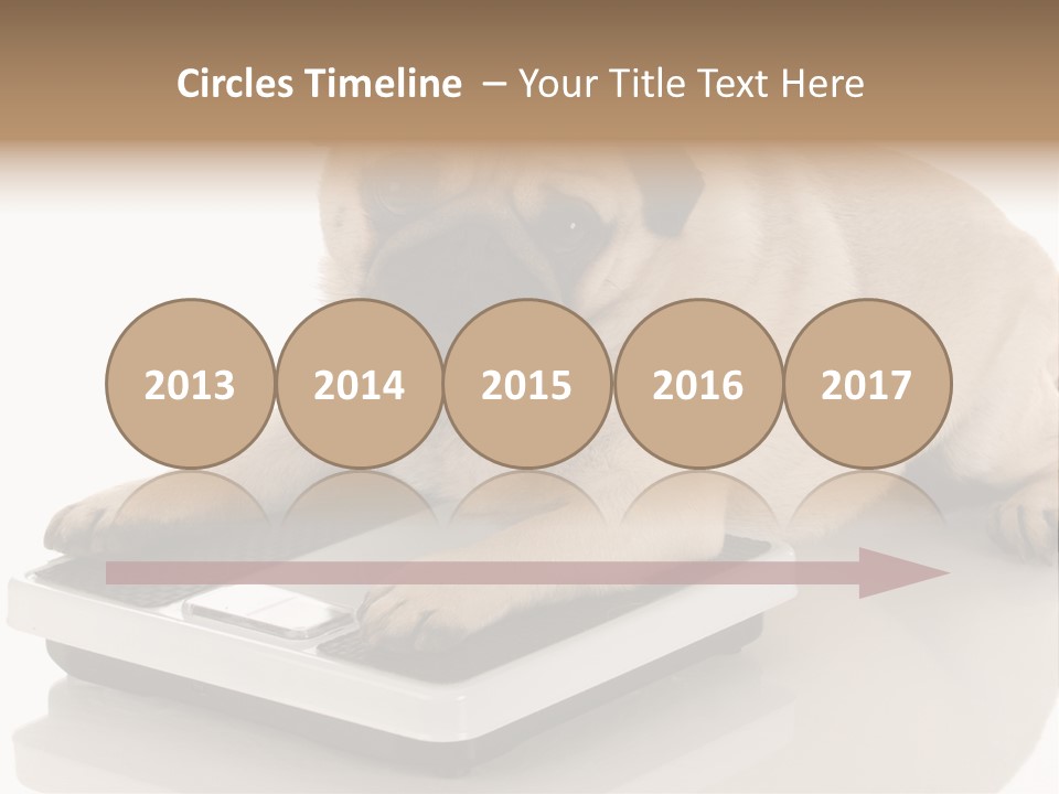 Studio Doggy Purebred PowerPoint Template