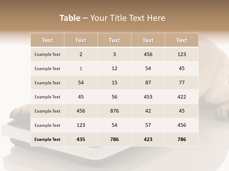 Studio Doggy Purebred PowerPoint Template