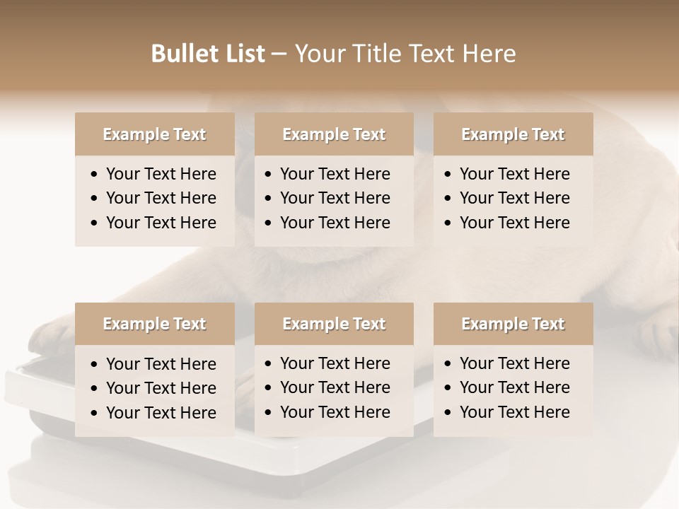 Studio Doggy Purebred PowerPoint Template