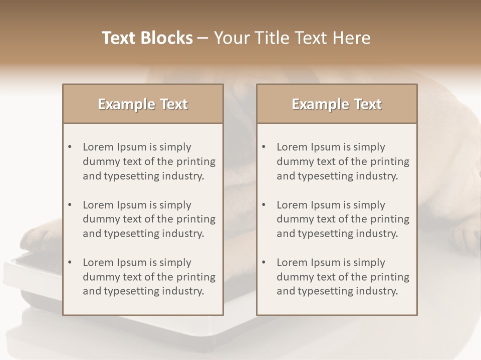 Studio Doggy Purebred PowerPoint Template